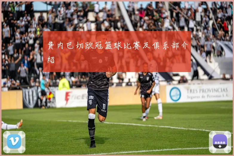 费内巴切欧冠篮球比赛及俱乐部介绍