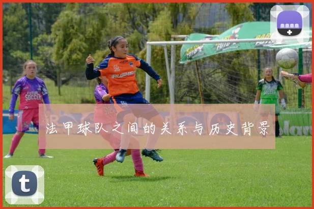 法甲球队之间的关系与历史背景