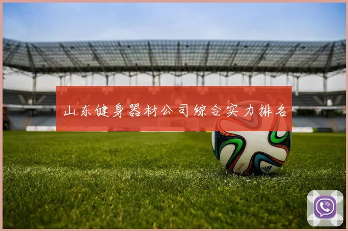 山东健身器材公司综合实力排名
