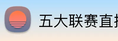 五大联赛直播 logo